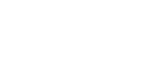 SDSN Amazônia